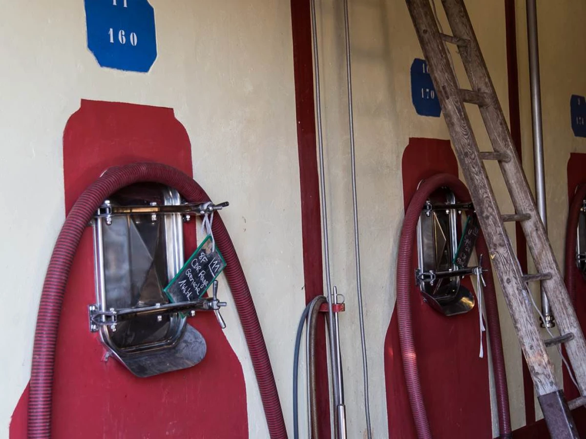 Visite de la cave (chais de vinification) et dégustation - Vignerons Indépendants