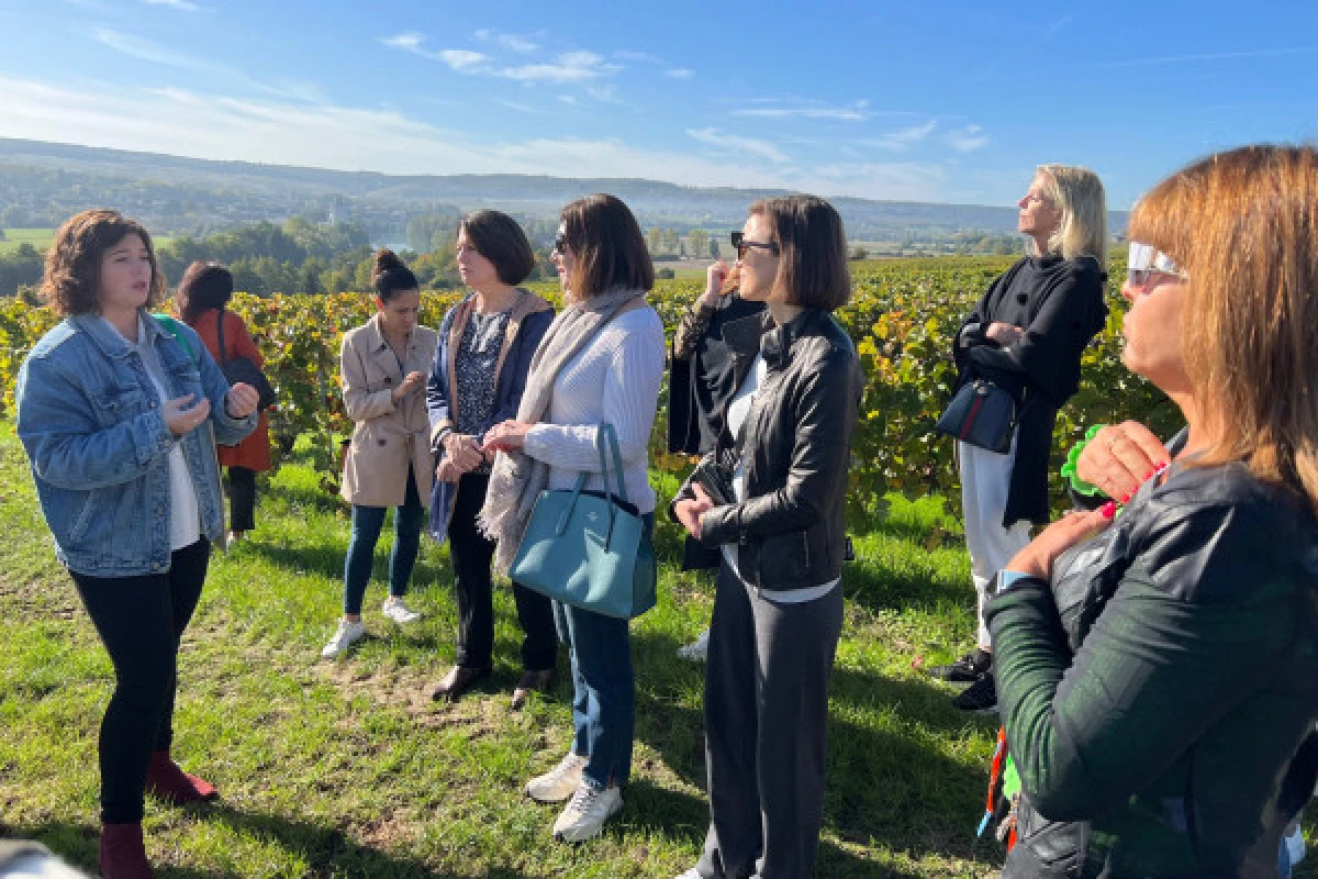 Visite & Dégustation - Vignerons Indépendants