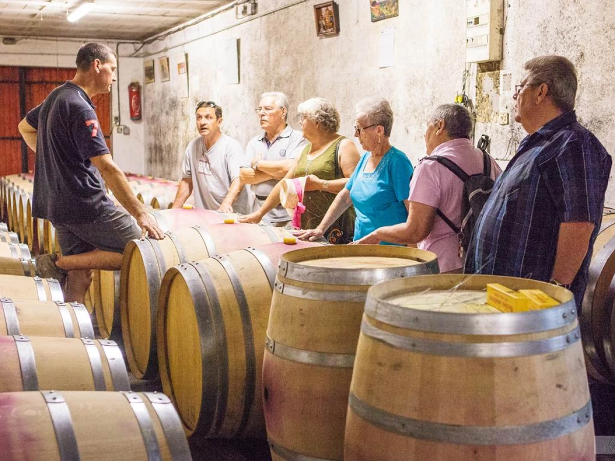 Visite des vignes, de la cave et dégustation - Vignerons Indépendants