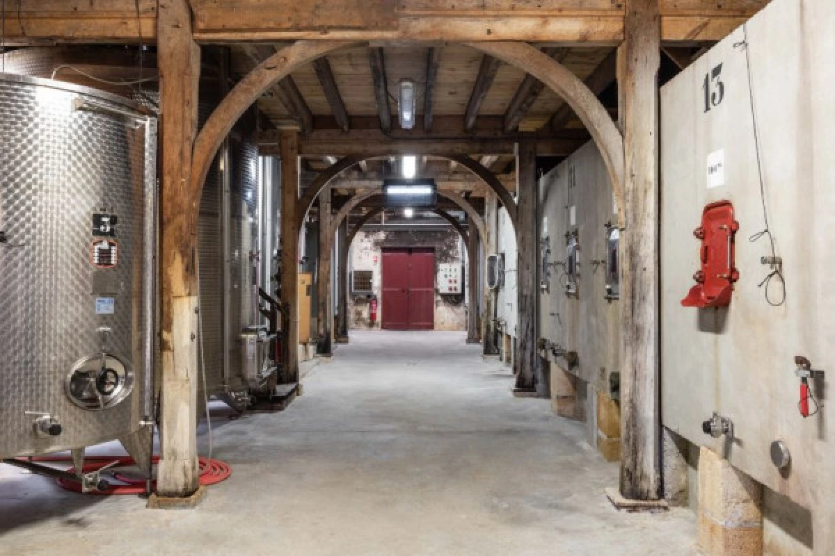 Visite du Château Sainte Barbe - Vignerons Indépendants