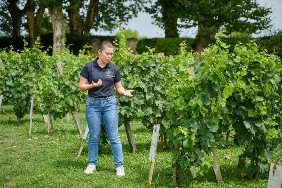 Visite du domaine et dégustation de 3 appellations - Vignerons Indépendants