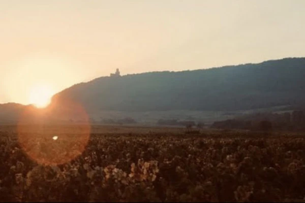 Visite du domaine et dégustation de nos vins - Vignerons Indépendants