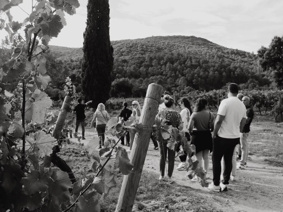 Visite du Vigneron - Vignerons Indépendants