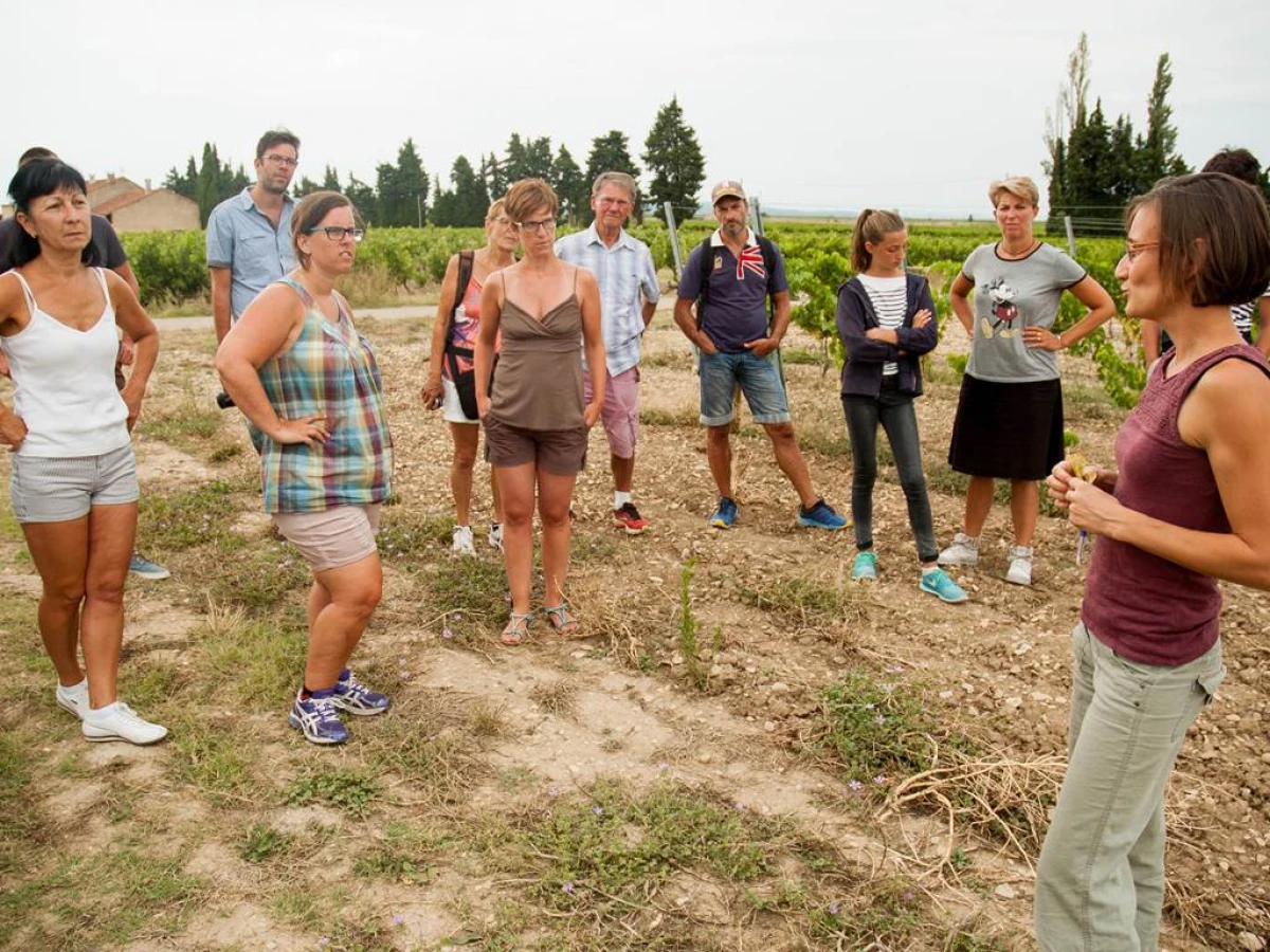 Visite du vignoble (vignes en agriculture biologique) et dégustation - Vignerons Indépendants