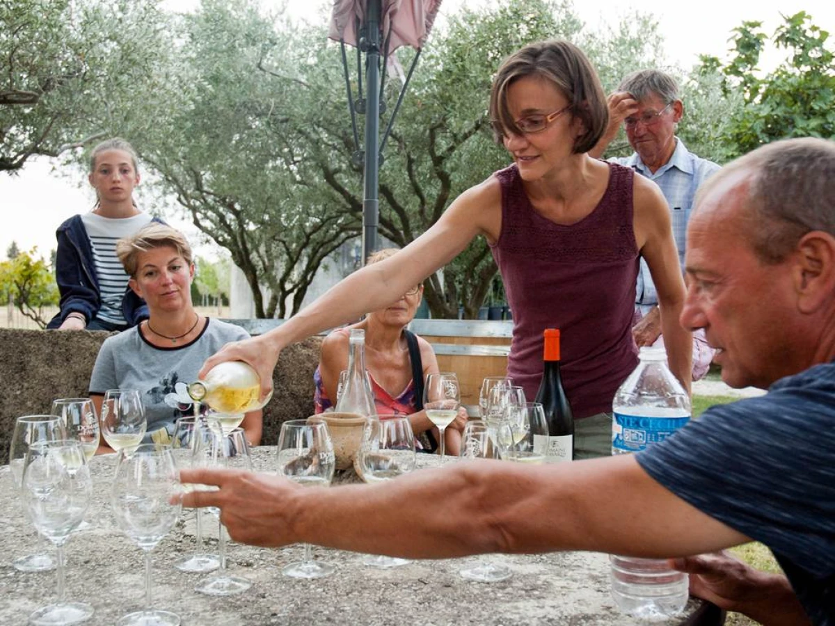 Visite du vignoble (vignes en agriculture biologique) et dégustation - Vignerons Indépendants