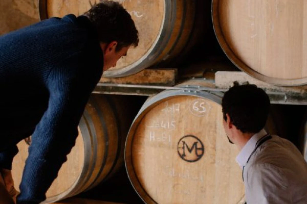 VISITE ET DÉGUSTATION ARMAGNACS - Vignerons Indépendants