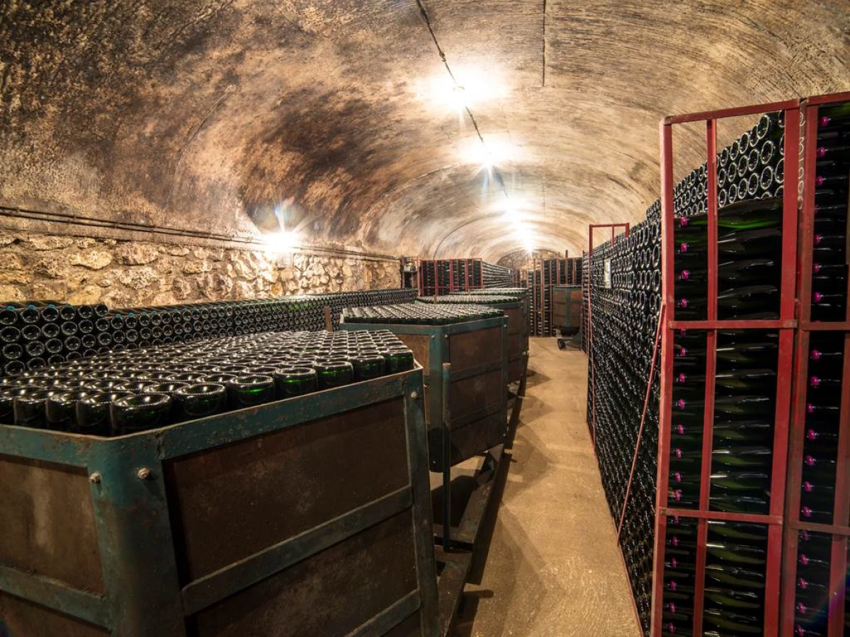 Visite et dégustation commentée de 3 champagnes - Vignerons Indépendants