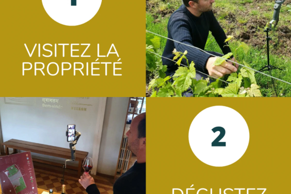 Visite et dégustation connectées en live - Vignerons Indépendants