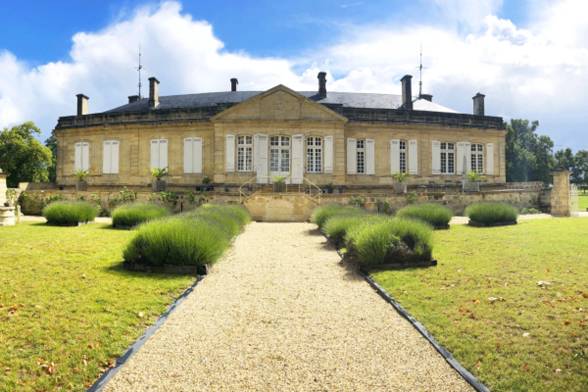 Visite et dégustation connectées en live - Vignerons Indépendants