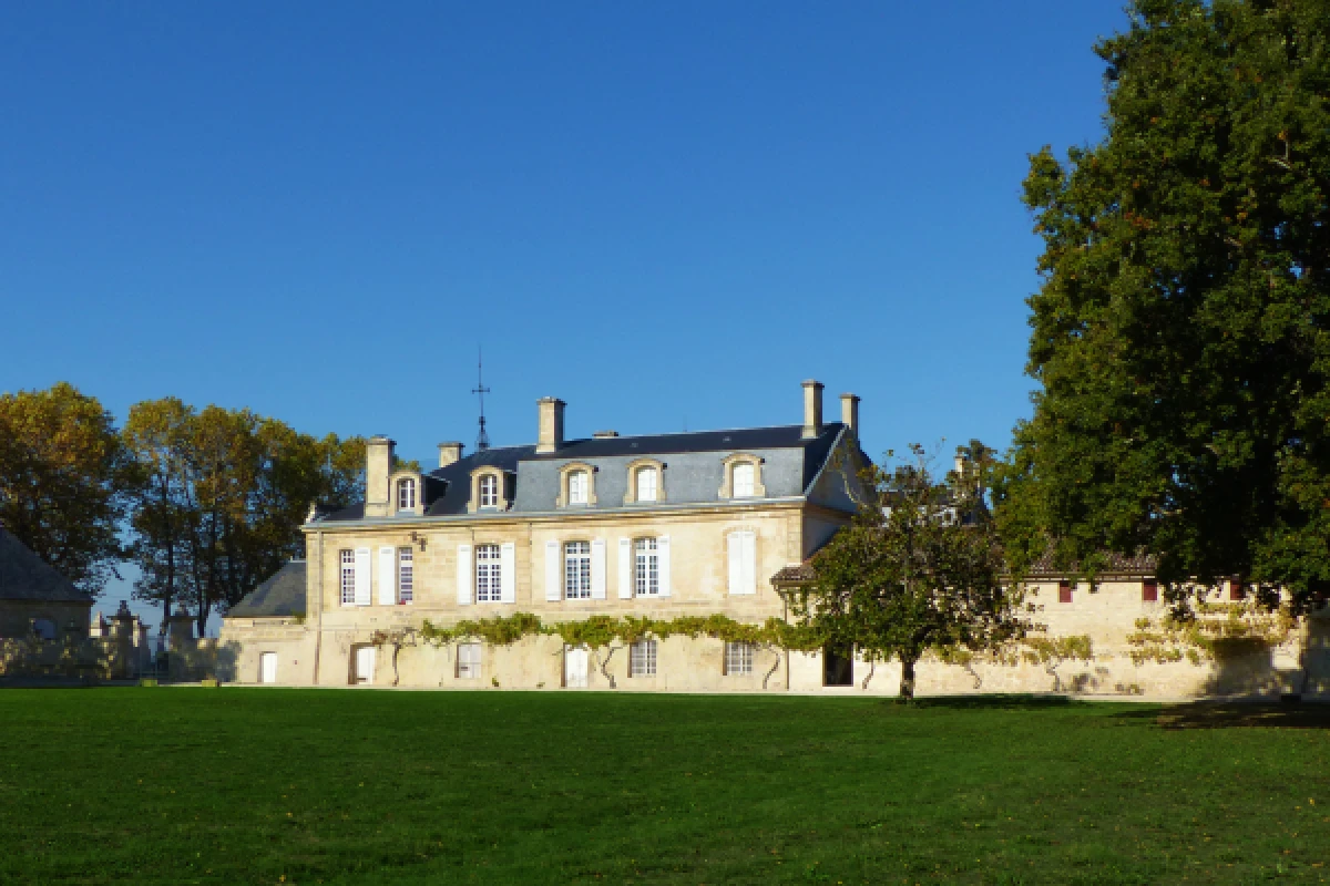 Visite et dégustation connectées en live - Vignerons Indépendants