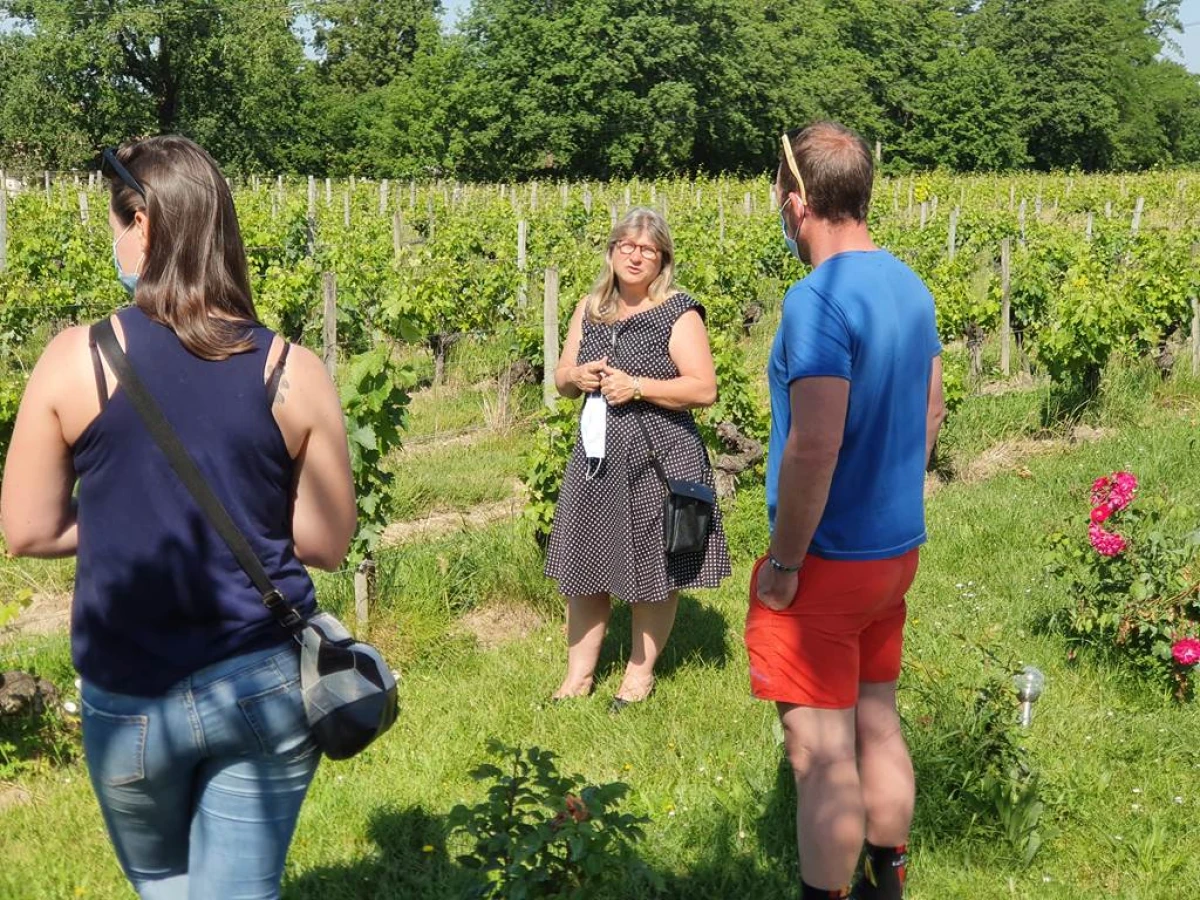 Visite et dégustation en privée - Vignerons Indépendants