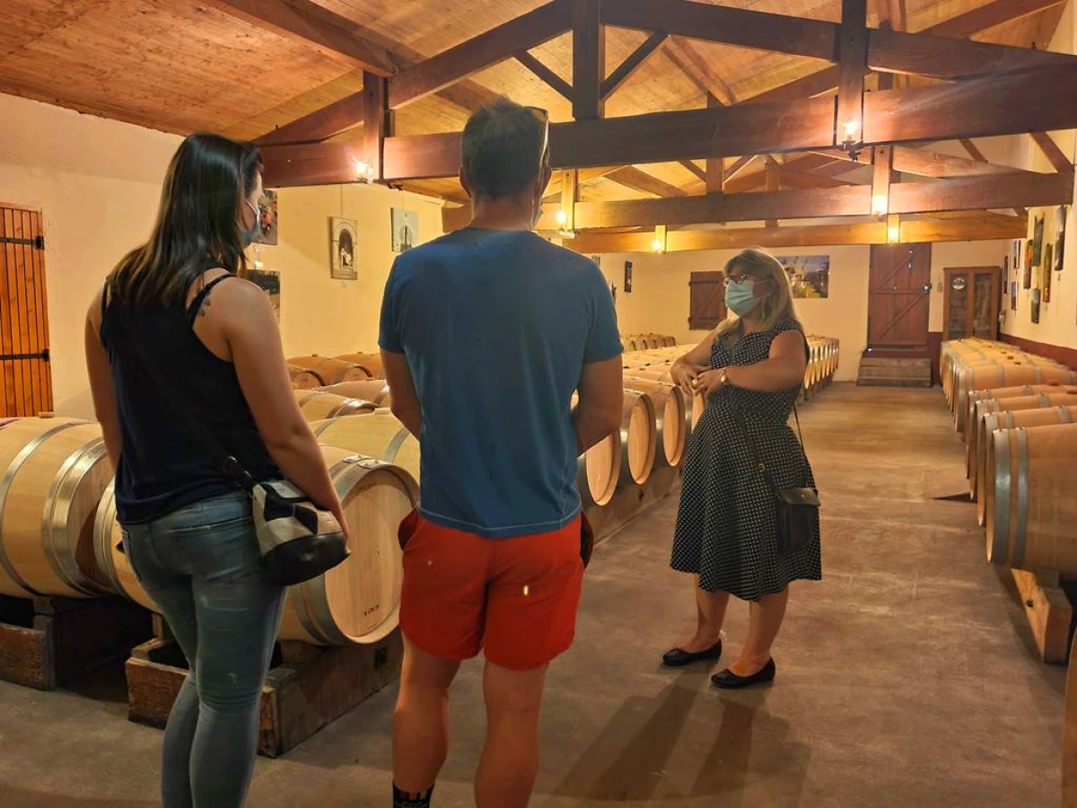 Visite et dégustation en privée - Vignerons Indépendants