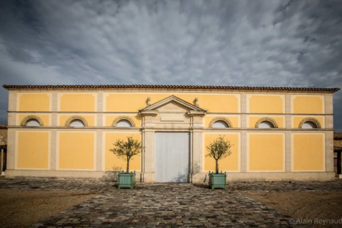 Visite et Dégustation - Vieux Château Gaubert - PORTETS - Vignerons Indépendants