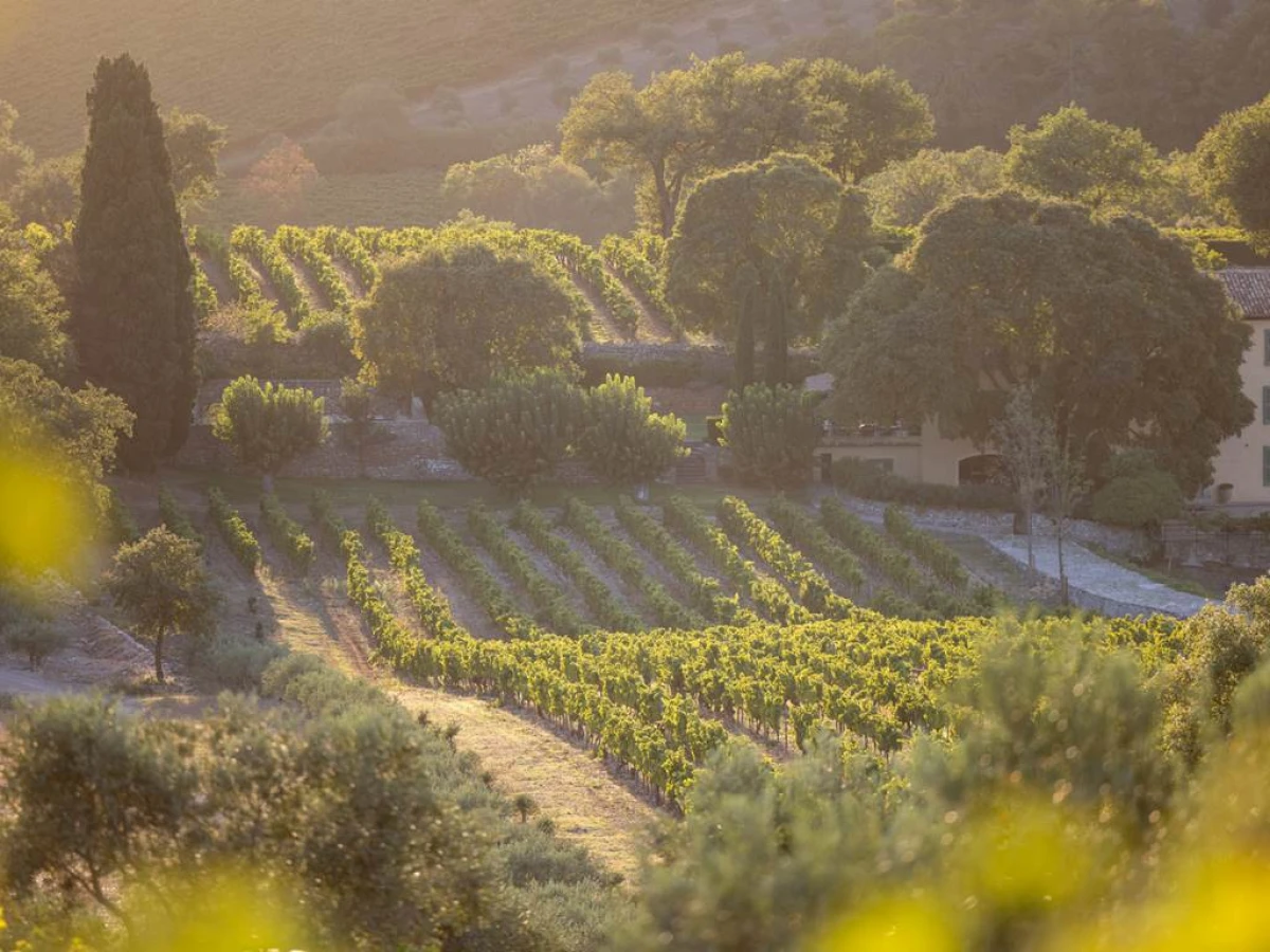 Visite et dégustation - Vignerons Indépendants