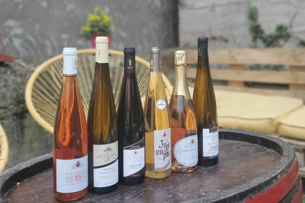 Visite guidée du domaine viticole en Alsace - Vignerons Indépendants