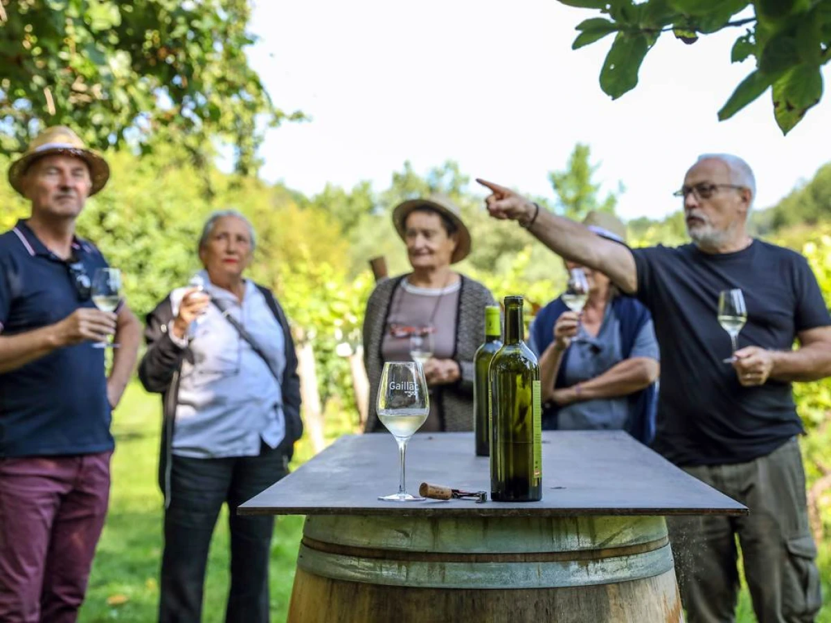 VOYAGE AU COEUR DES VIGNES: ENTRE CONTES, DEGUSTATION ET AGROECOLOGIE AU DOMAINE Michel ISSALY. - Vignerons Indépendants