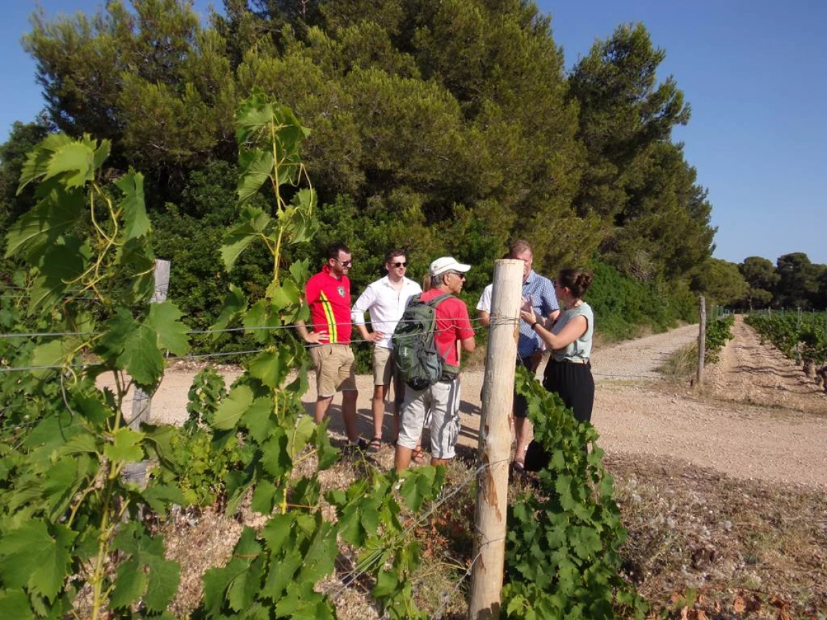 Walk and Taste - Vignerons Indépendants