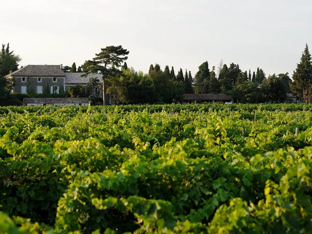 Wine tour - Vignerons Indépendants